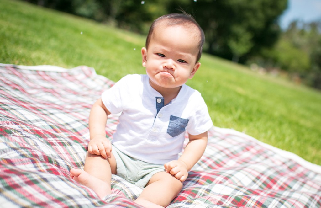 Aggression is inborn, but worsened or improved by one’s environment (Updated)