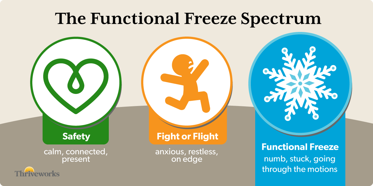 Functional Freeze and the Polyvagal Theory Graphic